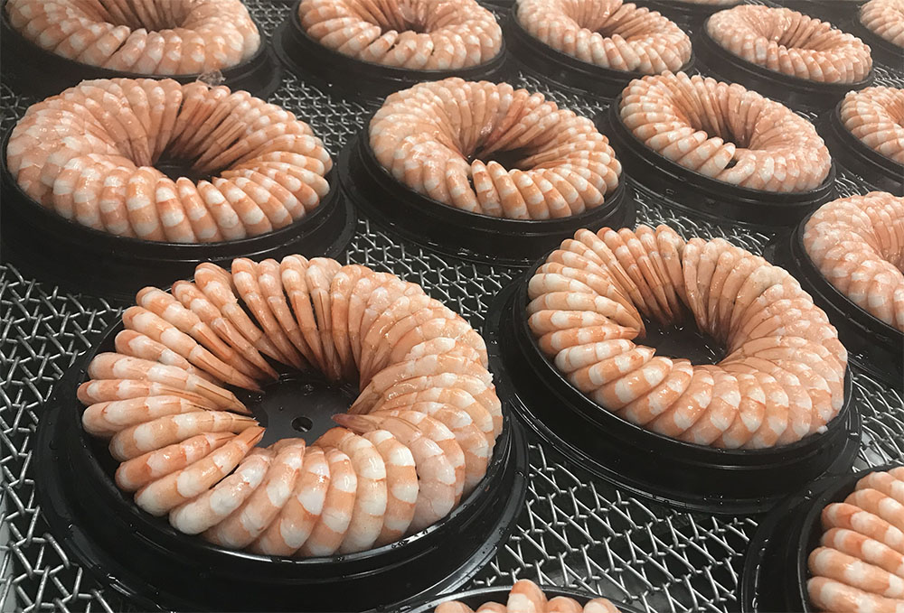Shrimp Ring