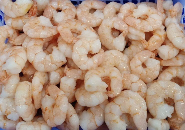 Cooked Vannamei PD